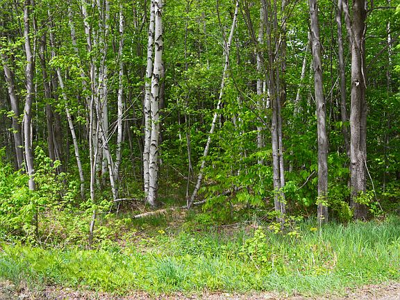 3rd image of LOT 690 King Arthur Dr