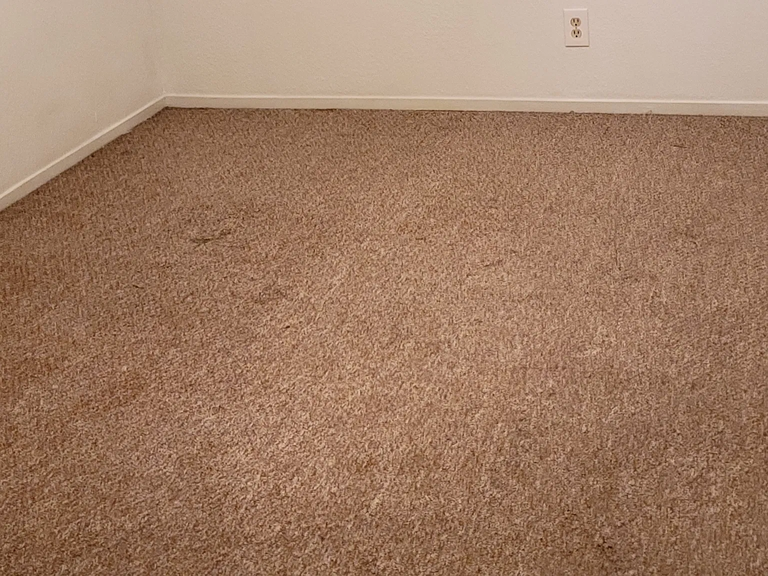2 bed, 1045 sqft, $1,695 — Photo 4