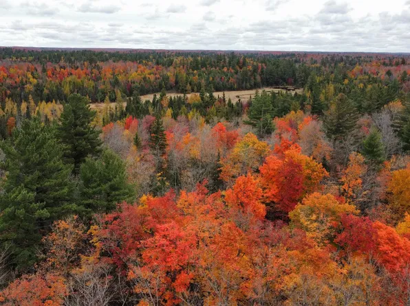 Timberland Trl, Michigamme, MI 49861