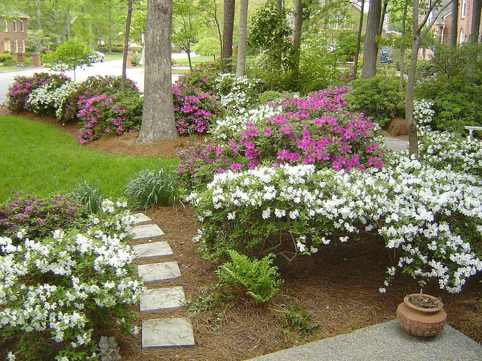 3129 Ct, Virginia Beach, VA 23452 Zillow