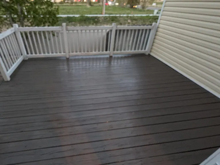 880 Macaw St — Photo 13