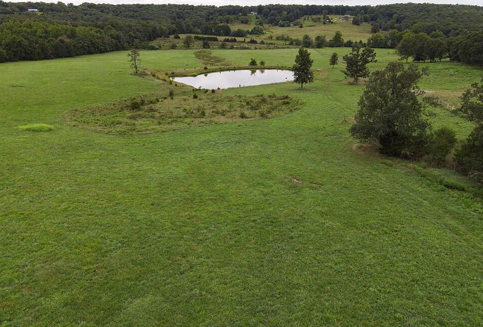 000 Fineview Lane, Long Lane, MO 65590 Zillow