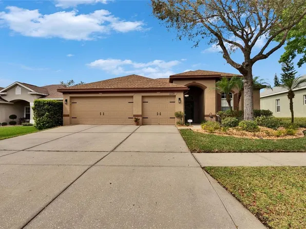 1220 Emerald Hill Way, Valrico, FL 33594