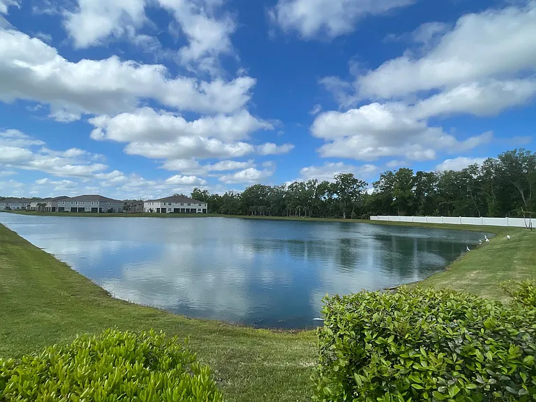 Property Water View