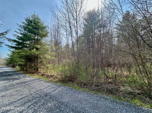 L44 Lynx Drive, Richmondville, NY 12194
