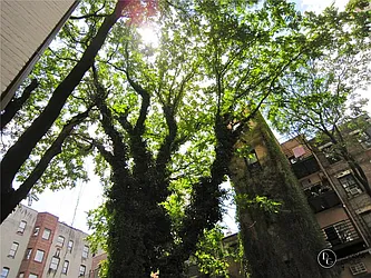 Rented by JK Dansar Corp