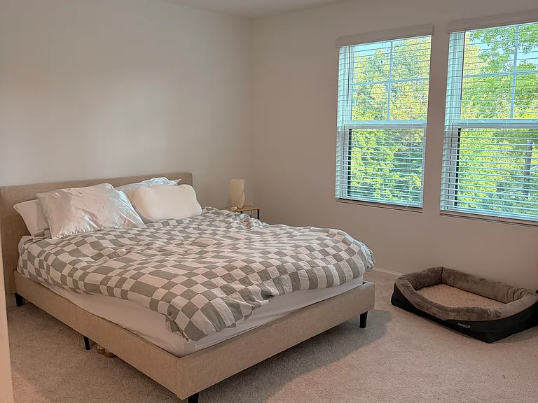 3611 Elm Grove Ln — Photo 10