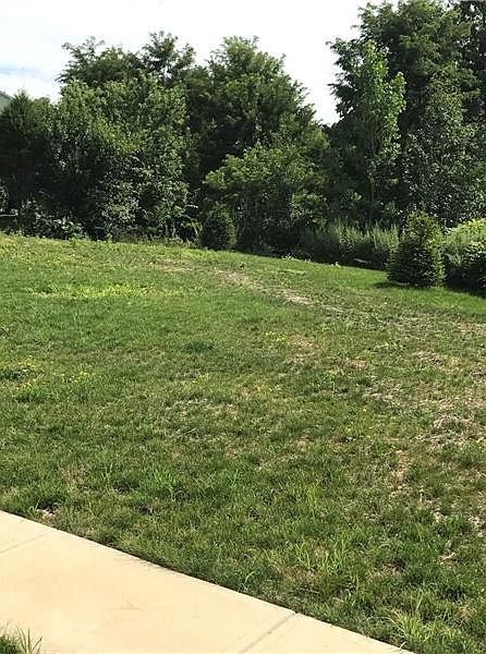 2nd image of 117 Chestnut Ridge Dr