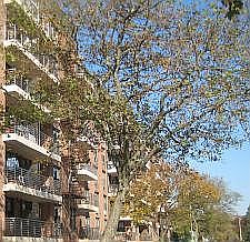 5th image of 2800 Coyle St APT 411