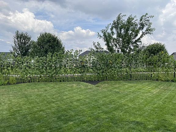 HUGE Fully Fenced & Landscaped Back Yard