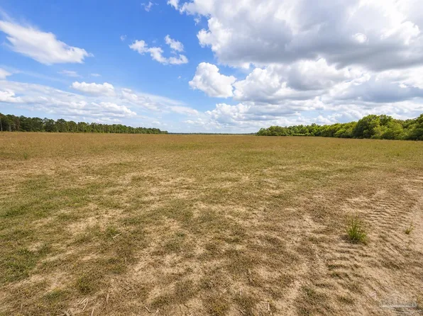 LOT 1 Tungoil Rd, Mc David, FL 32568