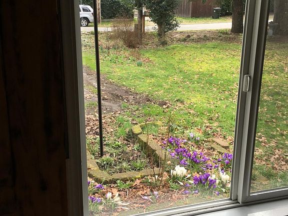 View from the kitchen window