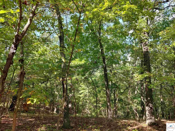 30915 Broken Circle Rd, Stover, MO 65078