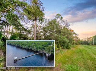 116 Laisy Dr, Georgetown, FL 32139