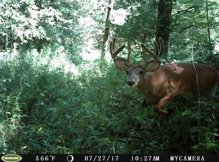 Buck Creek Rd, Ferryville, WI 54628