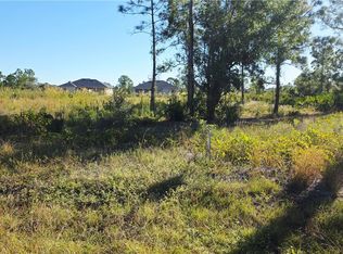302 Moore Ave, Lehigh Acres, FL 33936