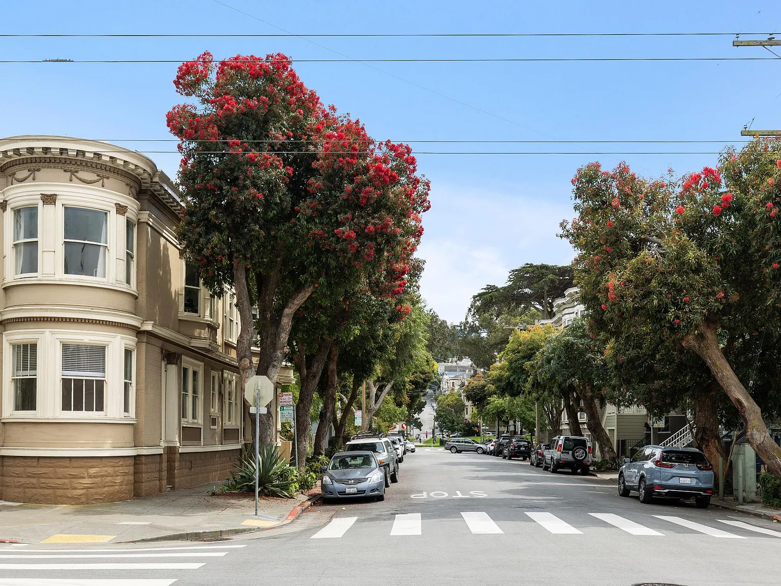 3 bed, $6,500 — Photo 4