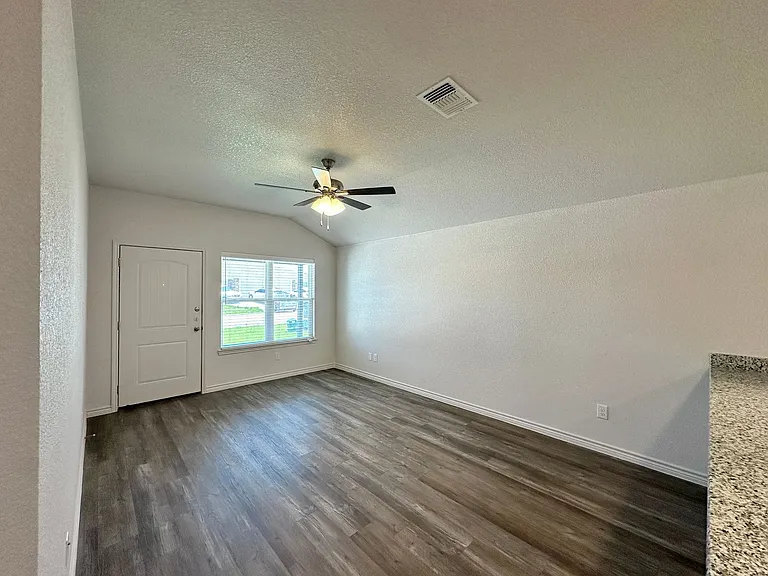 218 B Dolphin — Photo 6