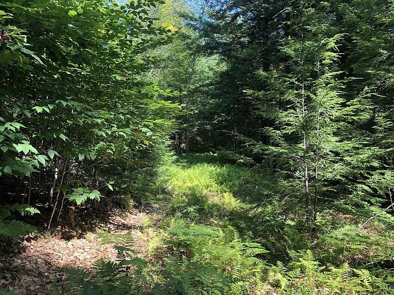4th image of L53.12 New Vermont Road