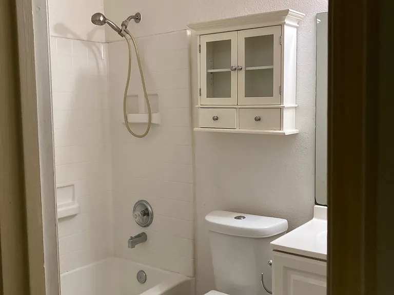 Hallway Bathroom