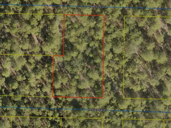 Lots 42 50 Tangerine St, Defuniak Springs, FL 32433