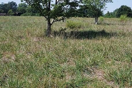 Empty 2 acre lot