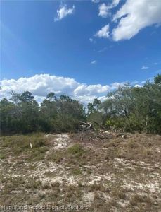 3219 Wilsons Warbler Ave, Lake Placid, FL, 33852