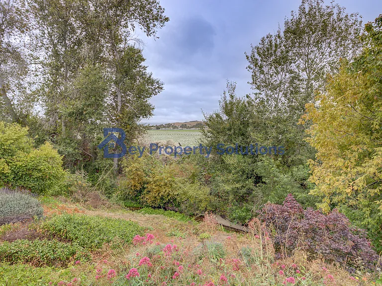 599 Woodland Dr — Photo 59
