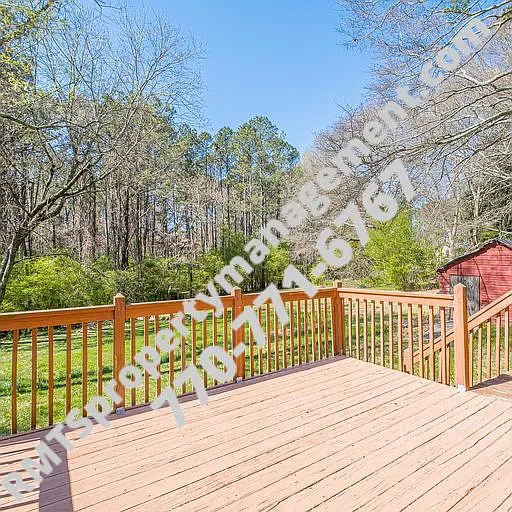 Back Deck_03152023