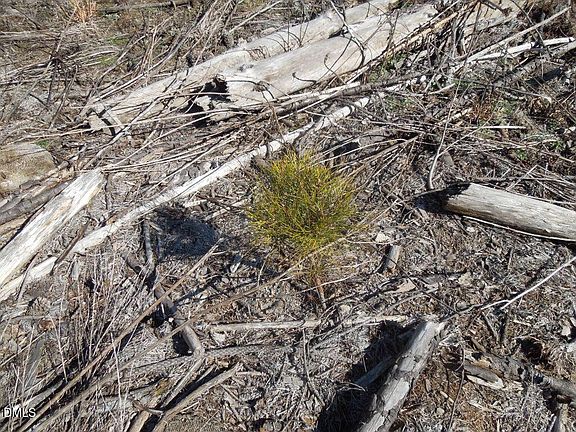 5th image of 1059 Ridgeway Warrenton Rd Lot C5-10