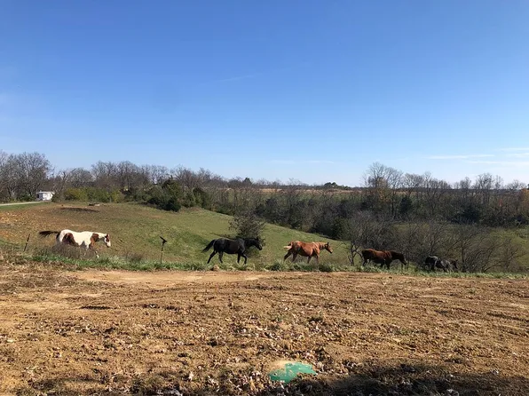 4190 Baton Rouge Rd, Williamstown, KY 41097