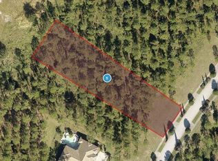16146 Pendio Dr #227, Montverde, FL 34756