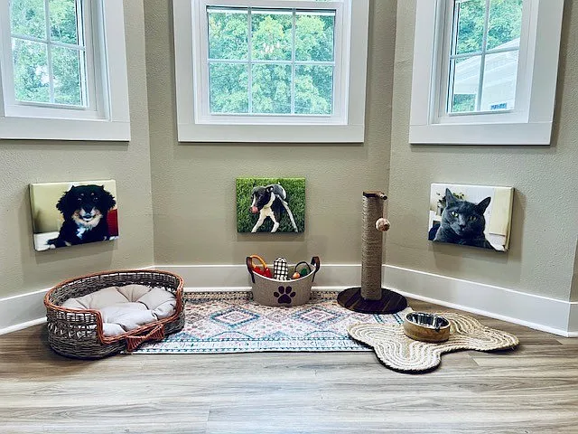 Pet Lounge