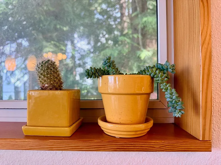 Window View