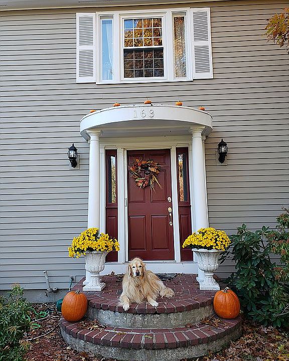 2nd image of 163 Hill St