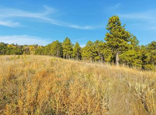 Lot17b W Minnesota St, Rapid City, SD 57701