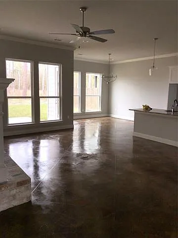 4053 Monarch Ln — Photo 8