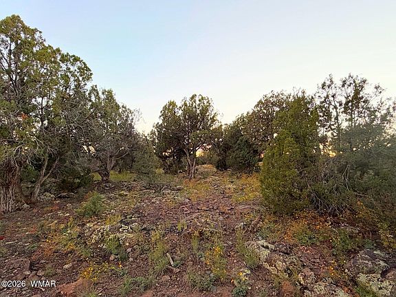 4th image of 8332 Skyline Dr