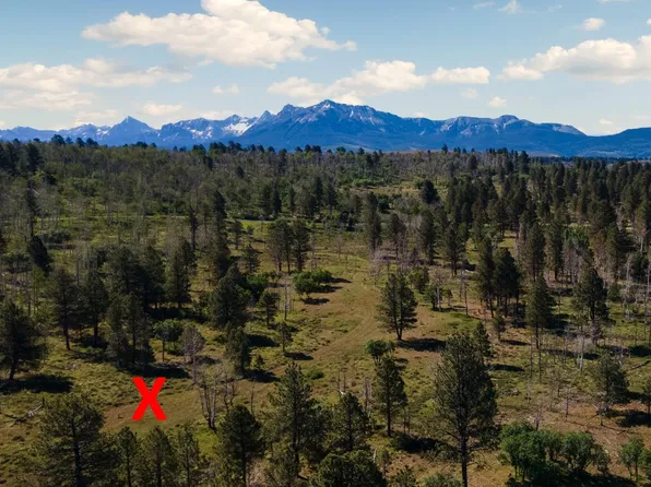 2991 Brown Ranch Rd Lot 7, Placerville, CO 81430