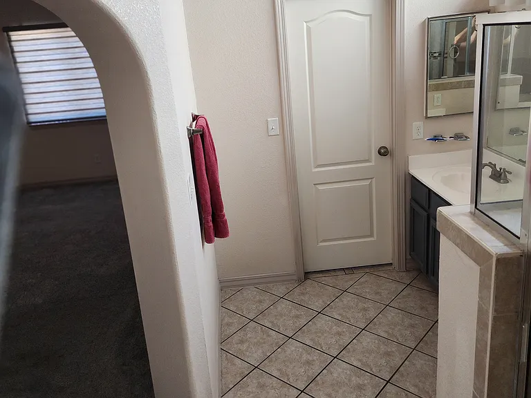1517 Alovera Ln — Photo 19