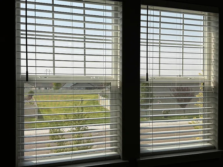 Views from the loft overlooking open green space.