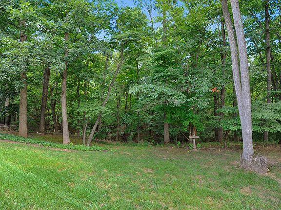 BACKS WOODED PARKLAND/STREAM