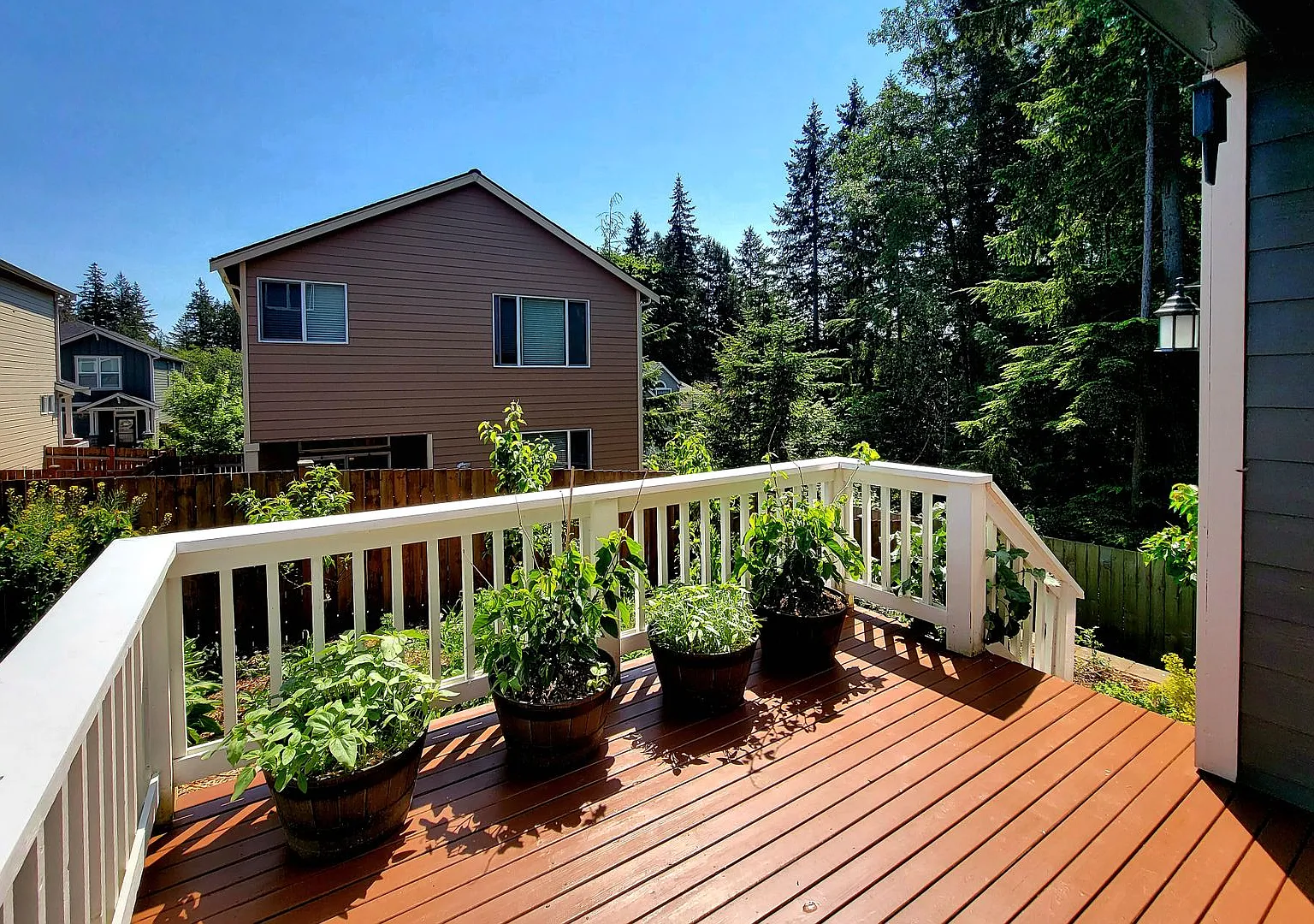Beautiful 3 bed in CK school district — Photo 2