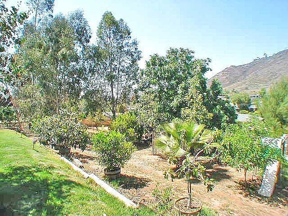 Plenty of room to relax, for kids and animals to play