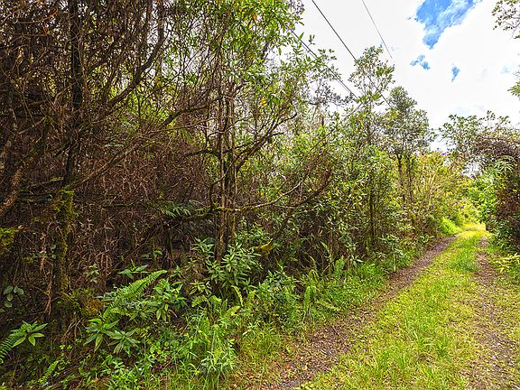 5th image of Keola Pl Lot 52