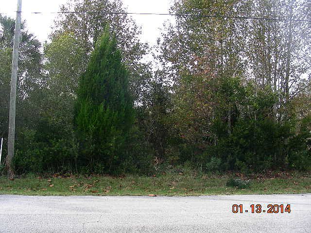 1st image of 14 Longhorn Ln