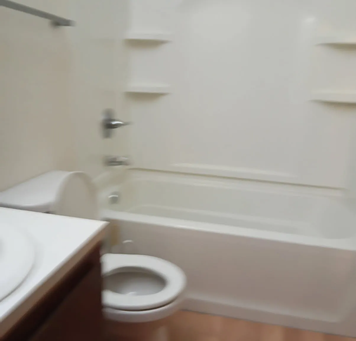 1 bed, 1000 sqft, $1,250 — Photo 4