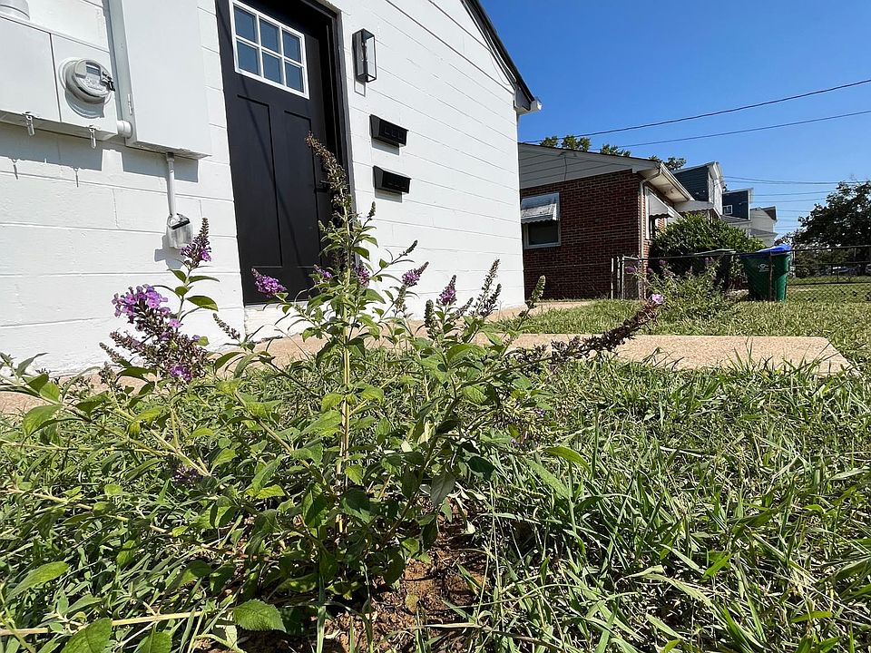 New butterfly bushes planted to make the exterior beautiful and welcoming.