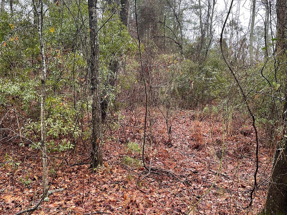2nd image of Lot C 0 Sr 1743 Off