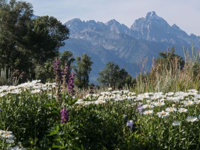 75 Huckleberry Dr, Jackson, WY, 83001